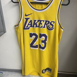 LeBron James NBA Jersey 