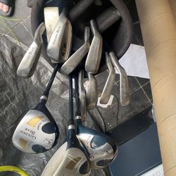 Set Of Golden Bear Golf Clubs And Bag