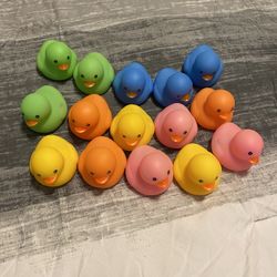 Ducks