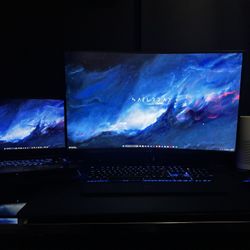 MSI Ge75 Raider Gaming Laptop / computer