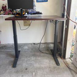 Adjustable Sit/Stand Desk