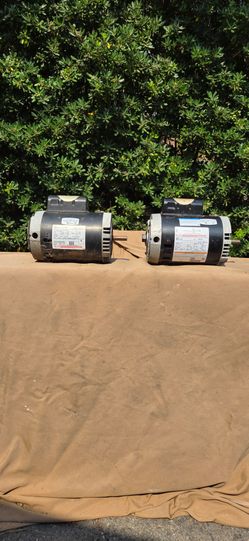 Century B124 Pool Pump Motor (2)