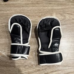 Fairtex mma gloves 