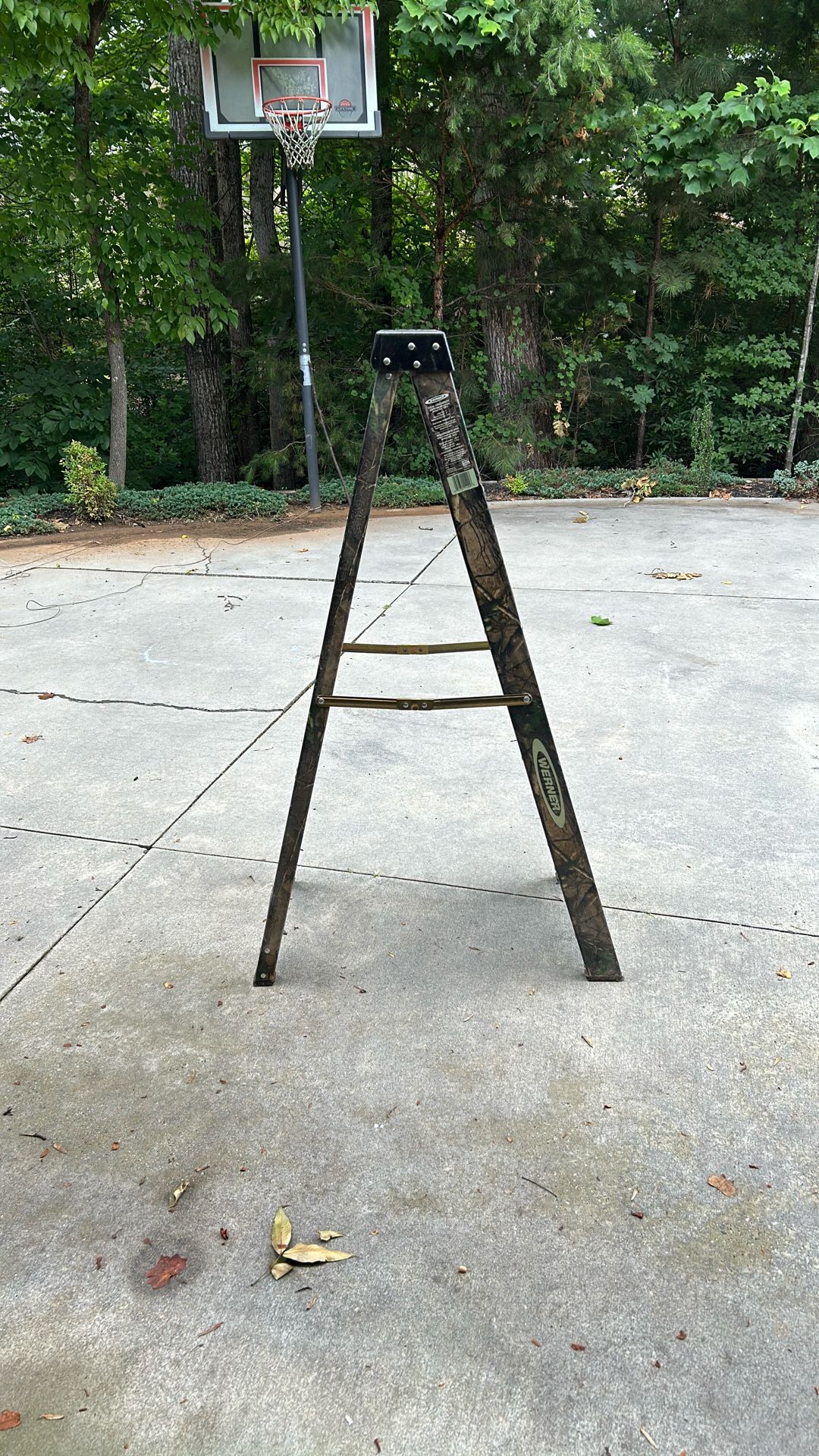 Werner 5 Foot Camo Ladder