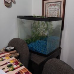 30 Gallon Fish Tank 