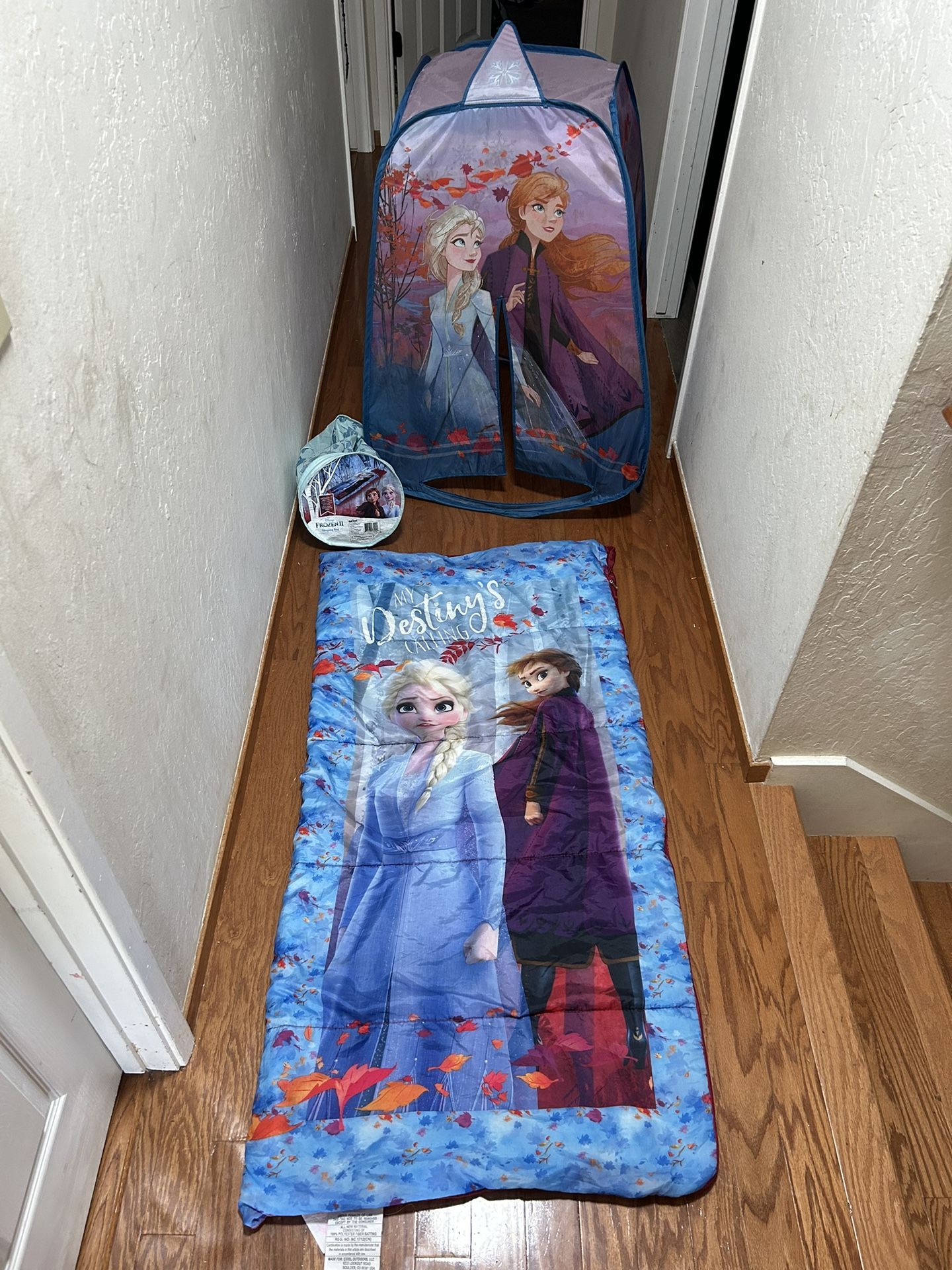 Disney Frozen Sleeping Bag