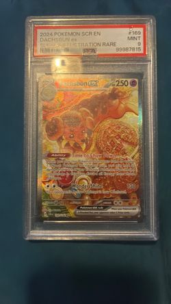 Dachsbund EX alt art 169