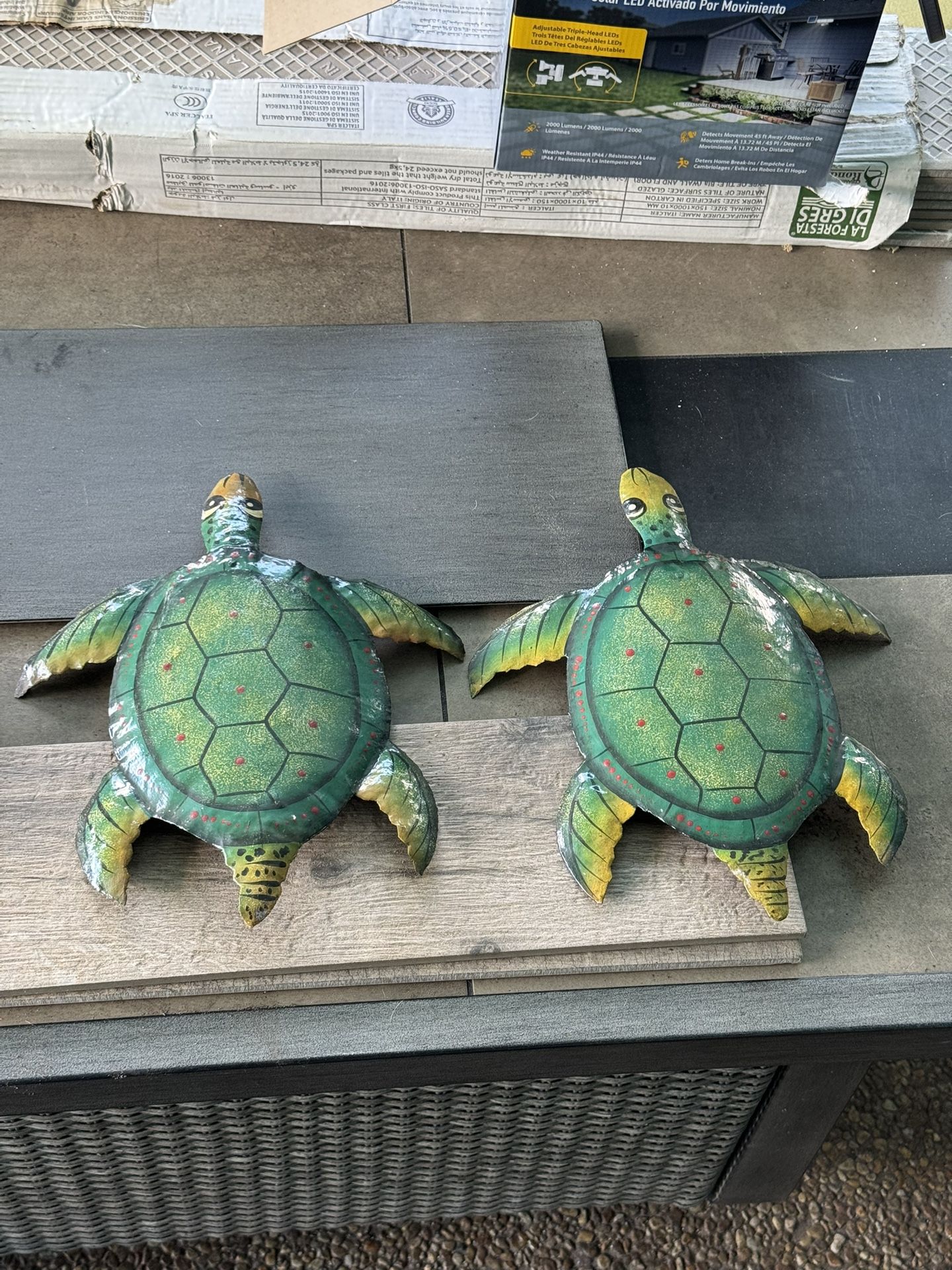 Wall decor Turtles