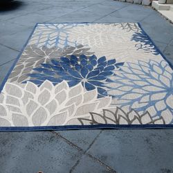 Outdoor Area Rug For $30 (8ftx10ft)