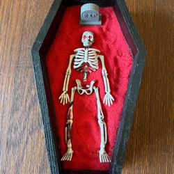 Coffin Goth Skelton Zen Garden 