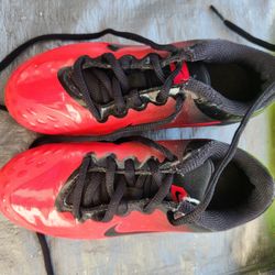 Sho