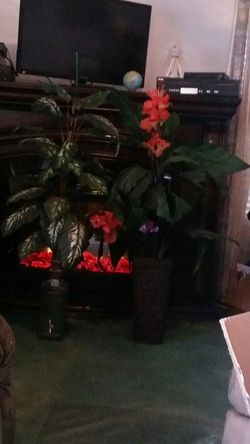2 silk plants