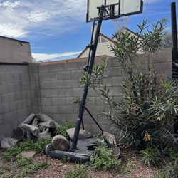 FREE * FREE  Basketball Stand and/or Firewood 🪵 