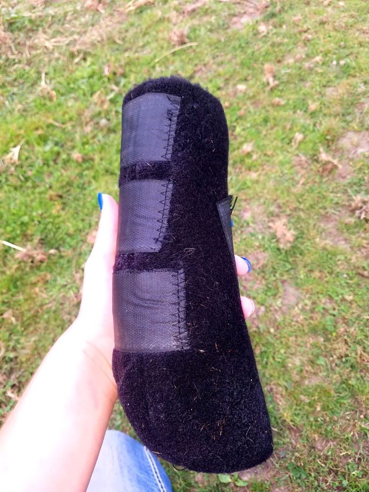 Equine boots/ active horse