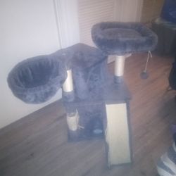Cat Post