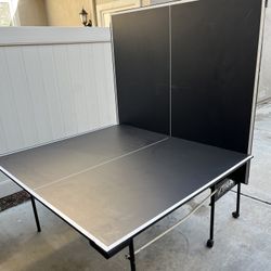 Ping Pong Table 