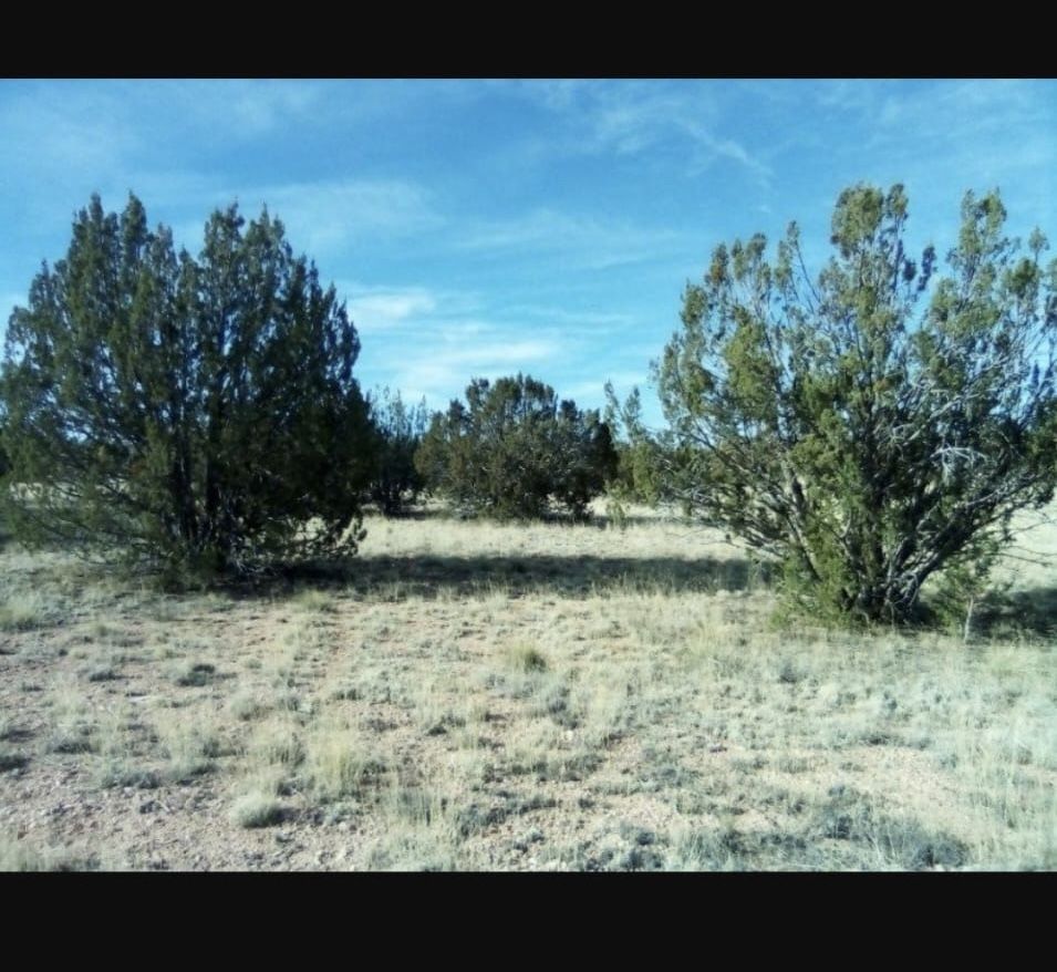 1.75 Acre In Seligman Az. Terreno De Venta