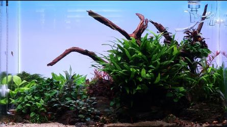 NEW Aquarium LED Backlight Screen - RGB