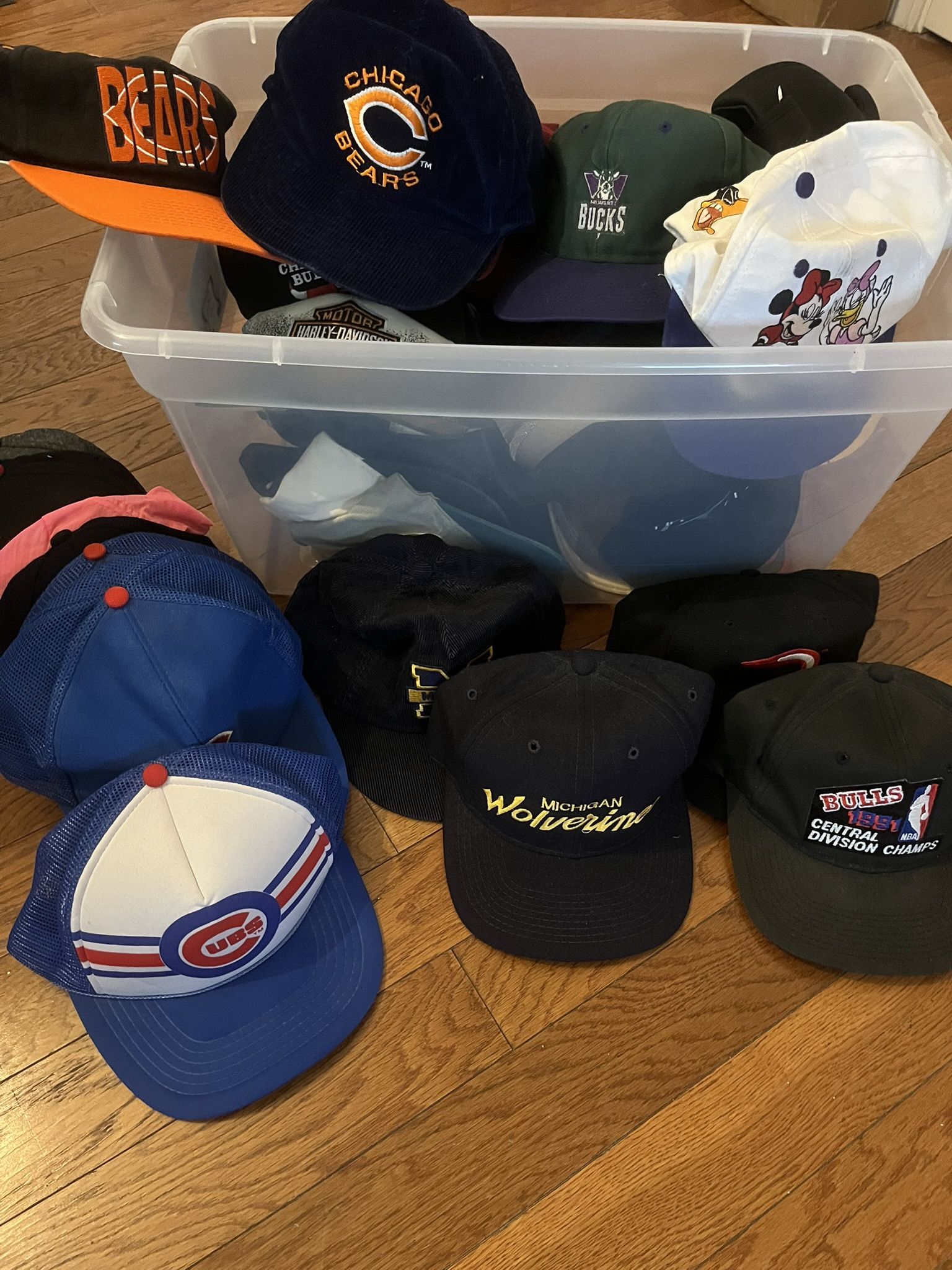 50 Hat Lot