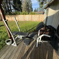 FREE Weight Bench