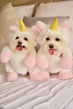 Pandaloon unicorn pet costume