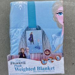 Frozen weighted Blanket 