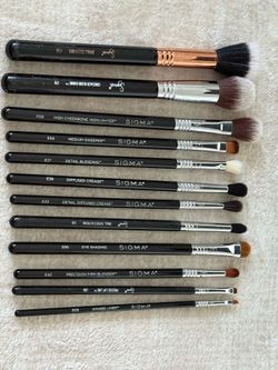 Sigma 12 Makeup Brushes