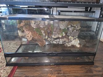40 gallon replile tank with 3D background and heat pad