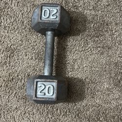20lb Dumbbell 