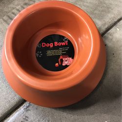 Dog Bowl
