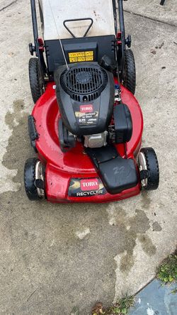 Toro