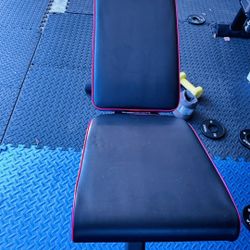 Training Bench
