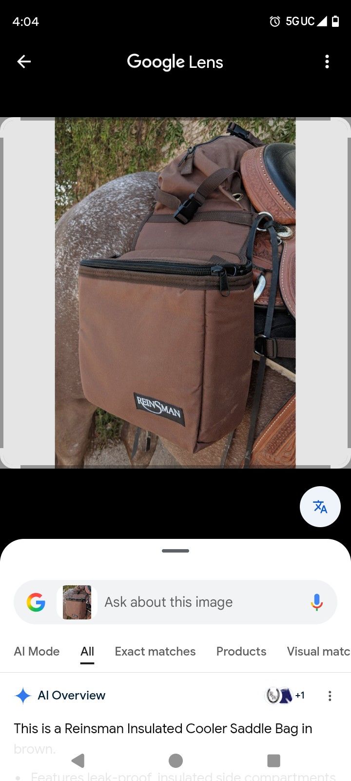 Saddlebags Like A Little Cooler