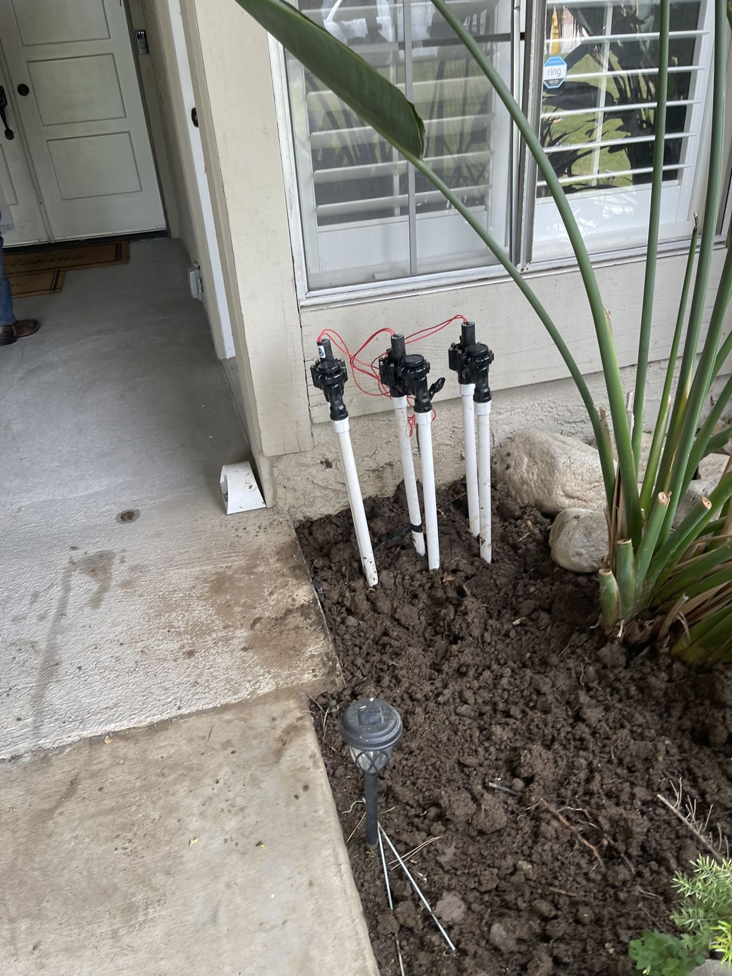 ((((SOD)))))SPRINKLERS))))))