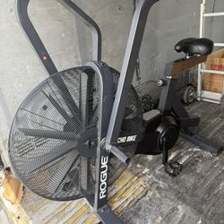 Rogue Echo Bike