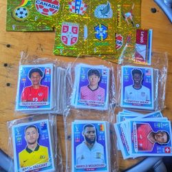 Panini Qatar World Cup 2022 Stickers