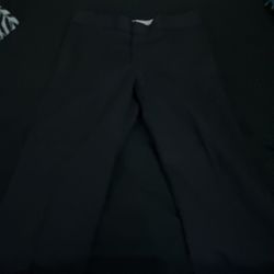Dickies Flex Pants 