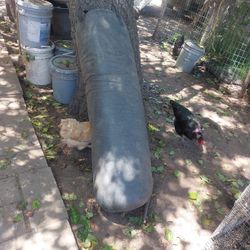 Punching Bag 