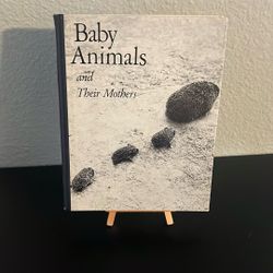 Baby Animals And Their Mothers 