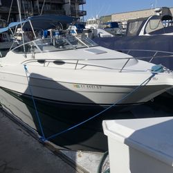 Wellcraft 25’ Boat 