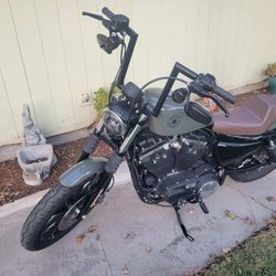 2021 Harley Davidson Iron 883