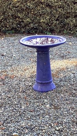 Blue bird Bath