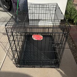 MidWest Life Stages Single Door Folding Dog Crate