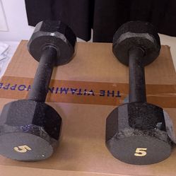 5 Lbs Pair Cast Iron Dumbbell Weights