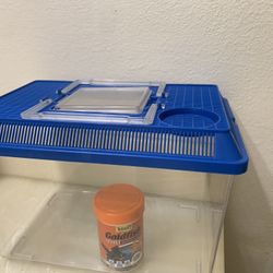 Fish Tank With Fish Food