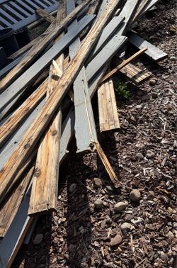 Scrap wood - Free