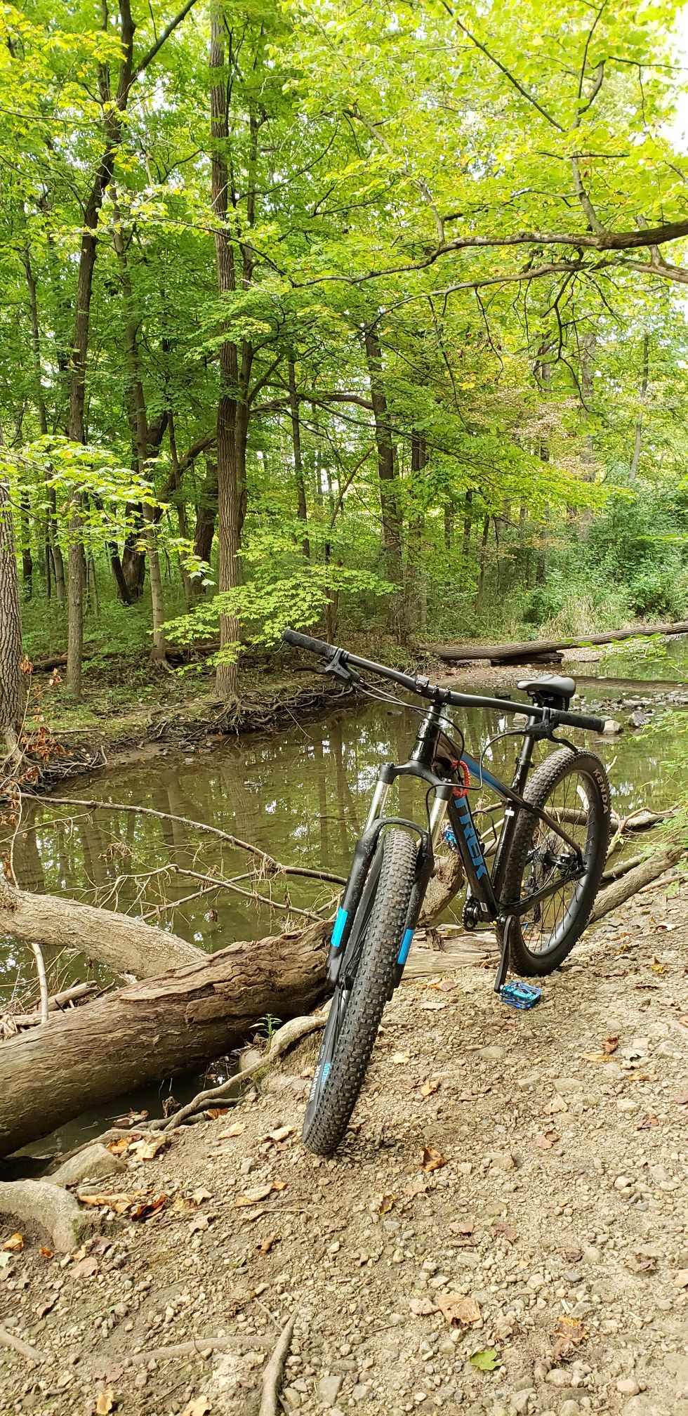 2019 trek roscoe 6