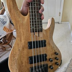 ESP LTD 5 String Bass 