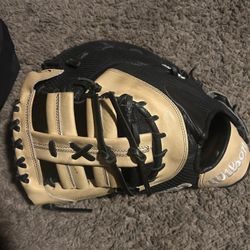 Jose abreu First basemen mitt