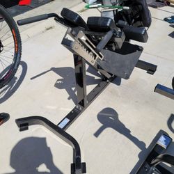 Hammer Strength Back Extension 